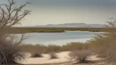 Los 10 Lugares Más Bonitos de San José del Cabo que Te Dejarán Sin Aliento