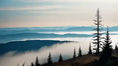 Los 10 Lugares Más Bonitos de Tennessee Que Te Dejarán Sin Aliento