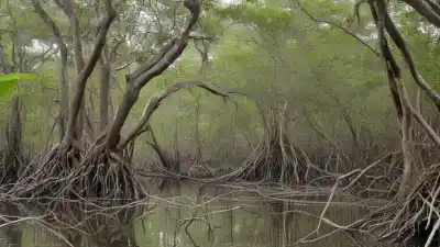 Los 10 Lugares Más Bonitos de Tumbes: Un Paraíso en el Norte del Perú