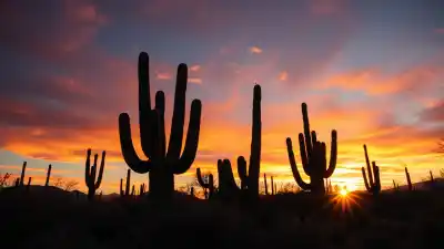 Los 10 Lugares Más Bonitos de Tehuacán que Te Dejarán Sin Aliento