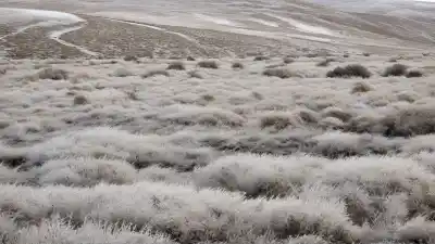 Top 5 de los Lugares Más Fríos de Argentina: Descubre el Hielo Patagónico y Andino