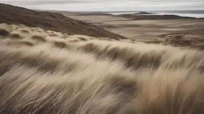 Top 5 de los lugares con más viento en Argentina que te dejarán sin aliento