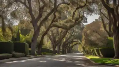 Top 10 de los Lugares Más Ricos de Estados Unidos: Un Vistazo a la Opulencia