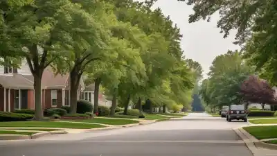 Los 10 Lugares Más Seguros de Estados Unidos Para Vivir y Visitar en 2024