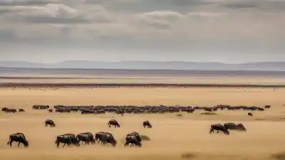 Top 10 de los Lugares Más Famosos de África que Debes Visitar