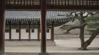 Top 10 de los Lugares Más Famosos de Corea del Sur Que Debes Visitar