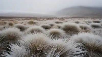 Los 5 Lugares Más Fríos de Colombia: Un Viaje al Hielo Tropical