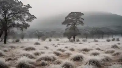 Los 5 Lugares Más Fríos de Brasil: Donde el Verano Tiene Hielo