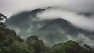 Los 5 Lugares Más Fríos de Chiapas: Descubre el Lado Gélido del Trópico