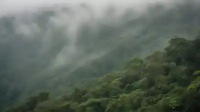 Los 5 Lugares Más Lluviosos de México: Donde el Agua es el Verdadero Rey