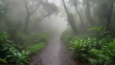 Los 10 Lugares Más Húmedos del Planeta: Donde la Lluvia es la Reina