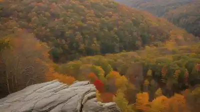 Los 10 Lugares Más Visitados de Kentucky: Descubre el Corazón de la Unión