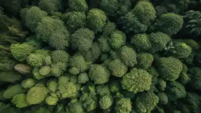 Top 10 de los Lugares Más Naturales del Planeta, Inalterados por el Hombre