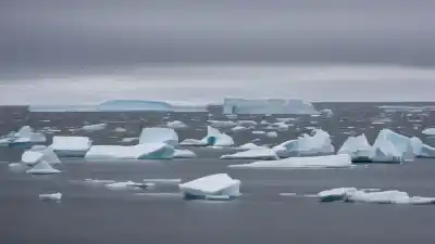 Los 10 Lugares Más Peligrosos de Canadá: Naturaleza Salvaje y Riesgos Urbanos