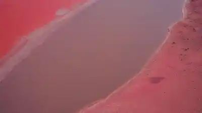 Los 5 Lugares Más Venenosos y Peligrosos del Planeta Tierra
