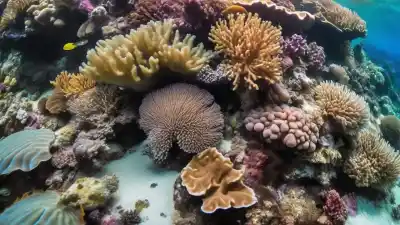 Los 5 Lugares con Mayor Biodiversidad Marina del Planeta: Un Viaje a los Océanos Más Vivos