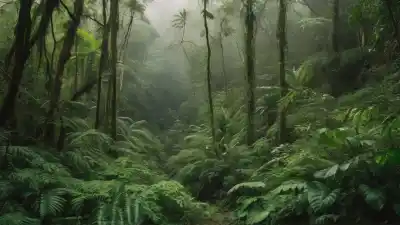 Los 5 Lugares con Mayor Biodiversidad en México que Te Dejarán Sin Aliento