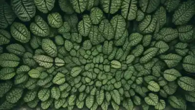 Los 5 Lugares con Más Biodiversidad en el Mundo: Los Tesoros Vivos del Planeta