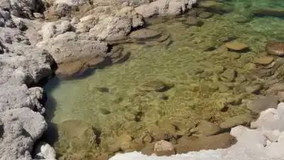 Top 5 Piscinas Naturales de Aruba: Un Paraíso Escondido en la Costa