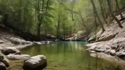 Top 5 Piscinas Naturales para Ir con Perros en Madrid: Refrescarse Juntos es Posible