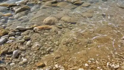 Top 5 de las Piscinas Naturales de Oliva: Descubre los Mejores Remansos de Agua Cristalina