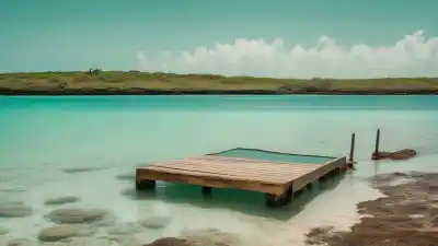 Top 5 de las Piscinas Naturales de Porto de Galinhas: Un Paraíso en el Nordeste Brasileño