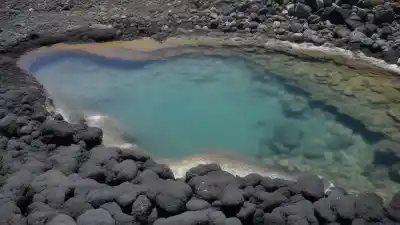 Top 5 Piscinas Naturales en Punta del Hidalgo: Una Guía Definitiva