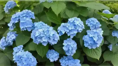 Top 10 de Plantas con Flores Azules que Deslumbrarán tu Jardín