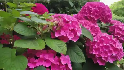 Top 7 Plantas con Flores en Agosto que Llenarán tu Jardín de Color