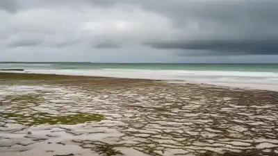 Top 7 de las Playas Más Afectadas por el Sargazo en el Mundo