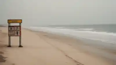 Top 5 de las Playas de Brasil con Más Ataques de Tiburones que Debes Conocer