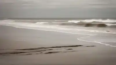 Top 5 de las Playas con Más Ataques de Tiburones en Florida: Datos Reales y Verificados