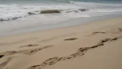 Top 10 de las Playas Más Bonitas de Acapulco: Paraíso en la Costa Pacífica
