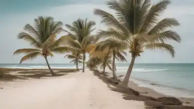 Top 5 de las Playas Más Bonitas de Barranquilla que Tienes que Conocer