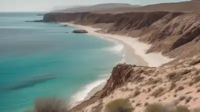 Top 5 de las Playas Más Bonitas de La Paz que Tienes que Conocer