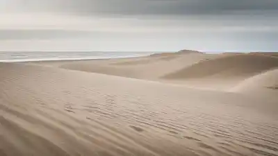 Top 5 de las Playas Más Bonitas de Bélgica que Te Sorprenderán