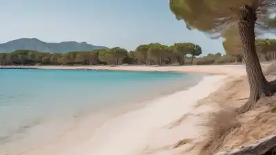 Top 10 de las Playas Más Bonitas de Alcudia: Paraíso en el Norte de Mallorca