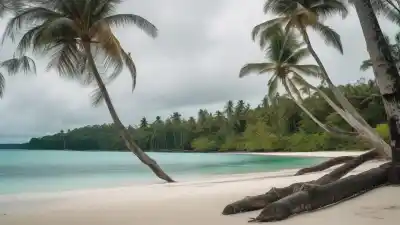 Top 5 de las Islas Más Grandes de Bocas del Toro: Descubre sus Joyas Caribeñas