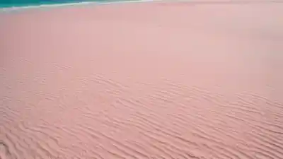 Top 10 de las Playas Más Bonitas de Bahamas: Paraíso en Cada Arena