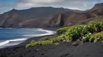 Top 10 de las Playas Más Bonitas de La Gomera: Paraísos de Arena y Volcán