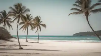 Top 10 de las Playas Más Bonitas en Veracruz que Tienes que Visitar