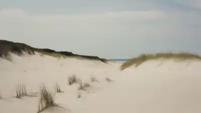 Top 10 de las Playas Más Bonitas de Nueva Jersey que Tienes Que Visitar