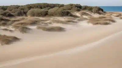 Top 5 de las Playas Más Bonitas de Roma que Tienes que Conocer