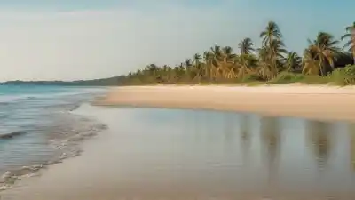 Top 7 de las Playas Más Bonitas de Tuxpan: Paraíso Veracruzano