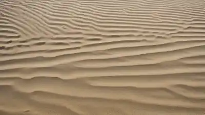 Top 7 de las Playas Más Bonitas de Tamaulipas que Tienes que Visitar