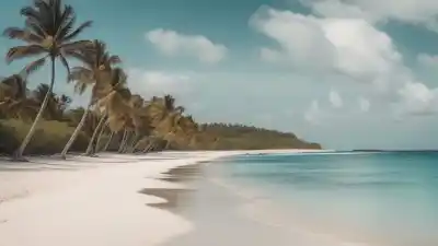 Top 5 de las Playas Más Bonitas de Santo Domingo que Tienes que Visitar