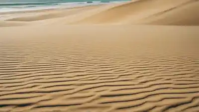 Top 7 de las Playas Más Bonitas de Rota que Tienes que Descubrir
