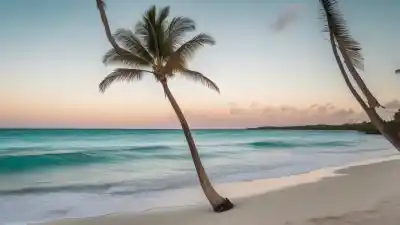 Top 10 de las Playas Más Bonitas de Venezuela que Te Dejarán Sin Aliento