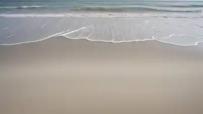 Top 10 de las Playas Más Bonitas de Texas que Te Sorprenderán