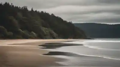 Top 5 de las Playas Más Lindas de Valdivia que Tienes que Conocer